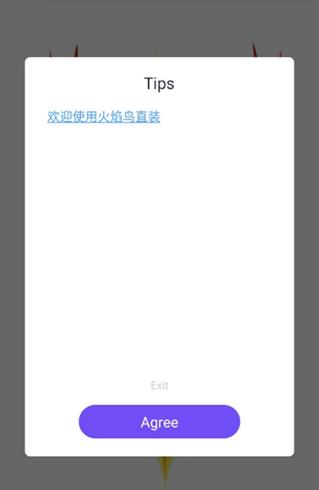 火焰鸟v2直装版