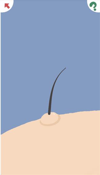 再玩亿关小游戏