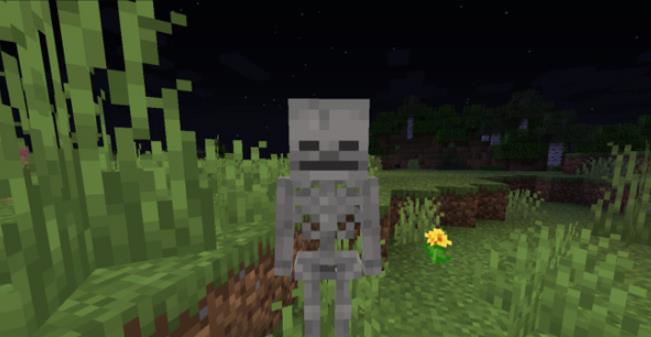 Minecraft1.2.1基岩版