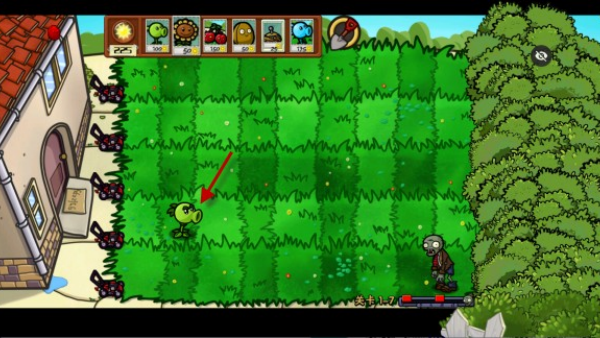 植物大战僵尸噩梦版