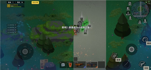 小动物之星正版