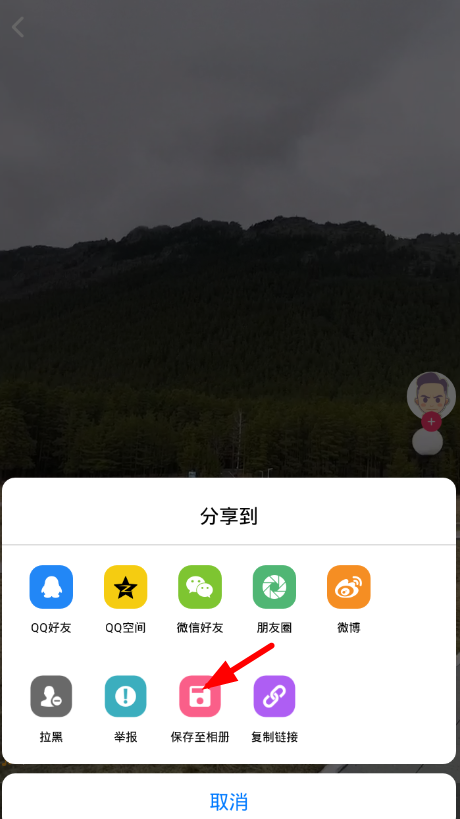 蘑菇视频最新版