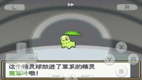 口袋妖怪起源心金小智版截图0