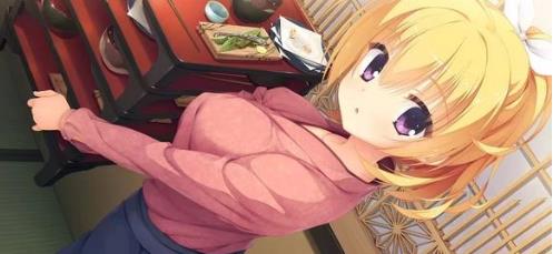 千恋万花冷狐版