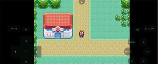 口袋妖怪燃之智5.0