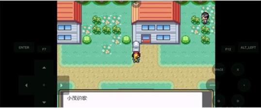 口袋妖怪燃之智5.0