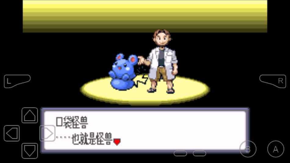 口袋妖怪红宝石截图2