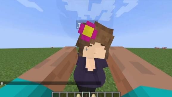 珍妮手机版(自带模组)