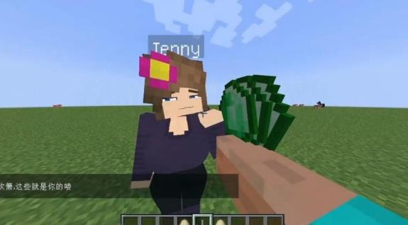 珍妮手机版(自带模组)