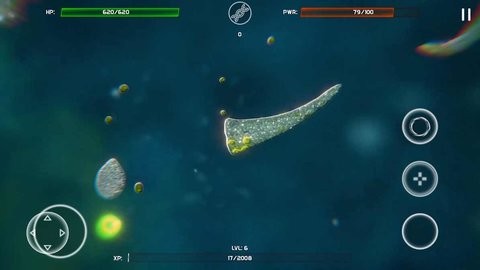 孢子中文版截图3