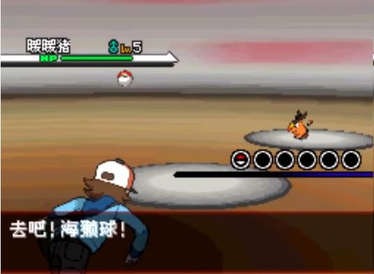 口袋妖怪黑版截图1