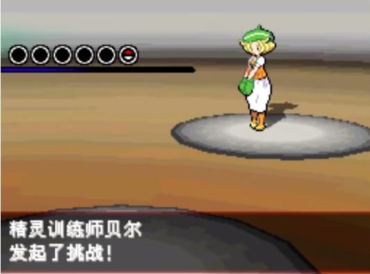 口袋妖怪黑版截图3