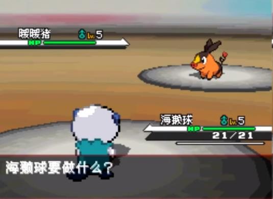 口袋妖怪黑版截图2
