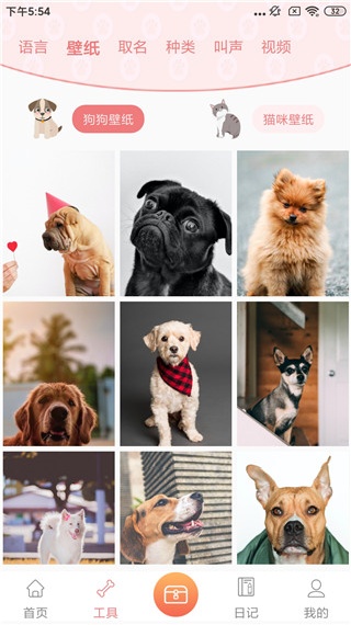 动物翻译器正版