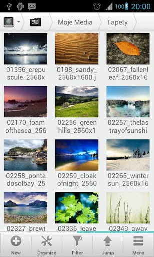 Solid Explorer专业版截图0