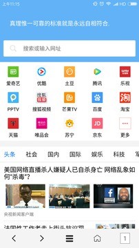 vip浏览器最新版截图1