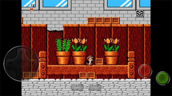 松鼠大战手机版