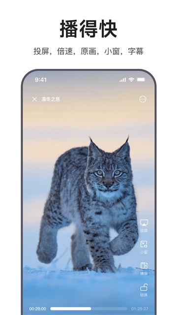 迅雷浏览器手机版截图2