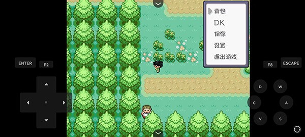 口袋妖怪燃之智5.0截图3