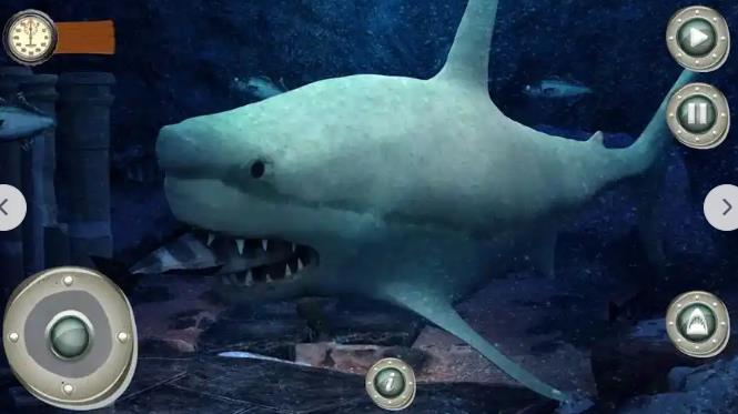 大白鲨生存模拟器