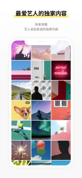 Lysn最新版本截图2