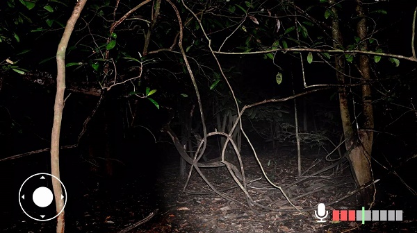 不要尖叫中文版