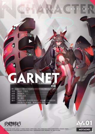 交错核心国际服