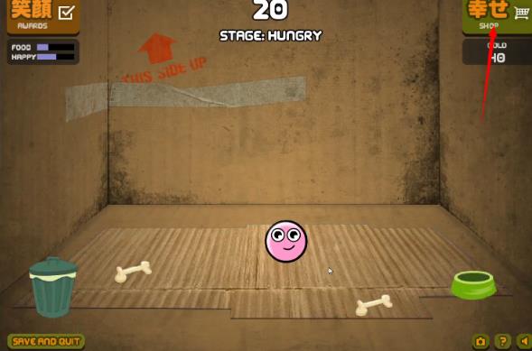 养只宠物球最新版