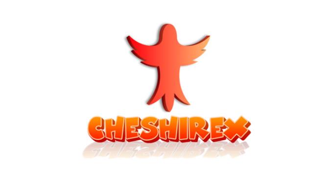 终极火柴人对决