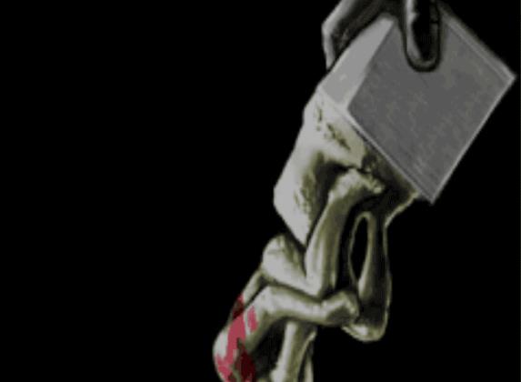 逆转裁判5手机版