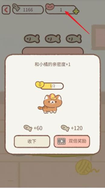 遇见你的猫中文版