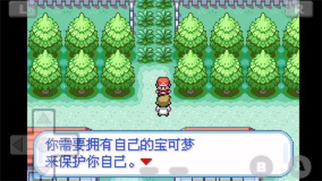 口袋妖怪火红截图1