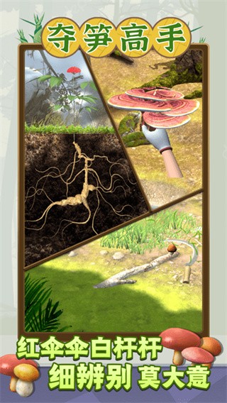 夺笋高手截图2