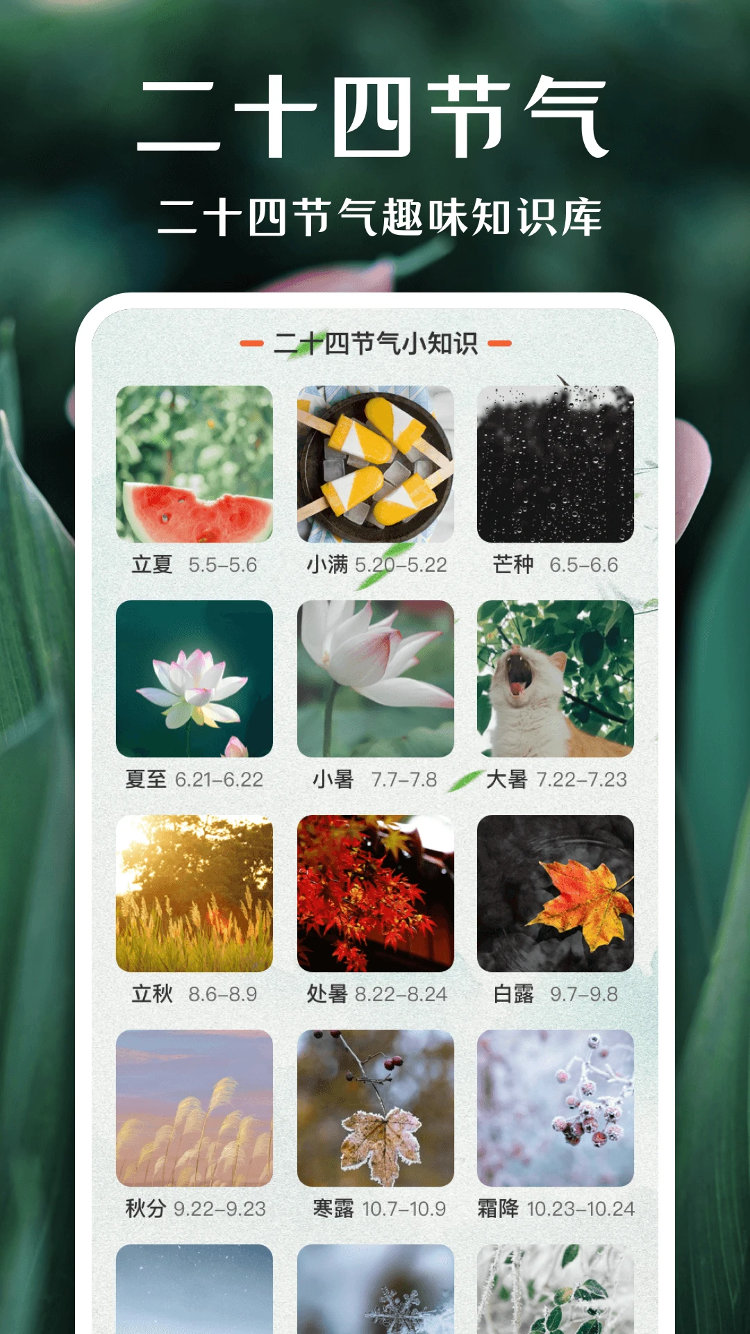 拍照识花神器截图1