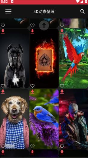 4D动态壁纸