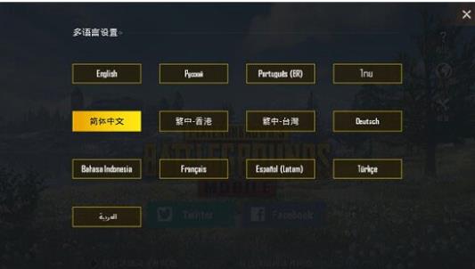 Pubgmobilelite轻量版
