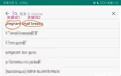 Ehviewer绿色版1.9.9.9