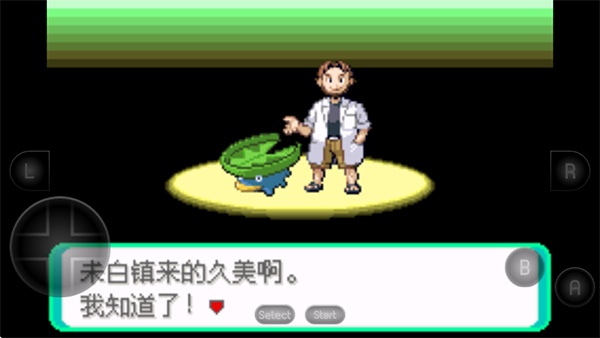 口袋妖怪绿宝石493