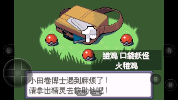 口袋妖怪绿宝石493