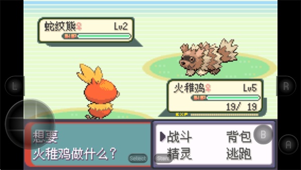 口袋妖怪绿宝石493