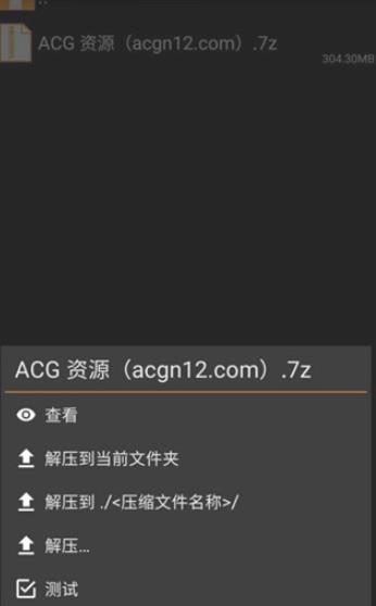Zarchiver Pro