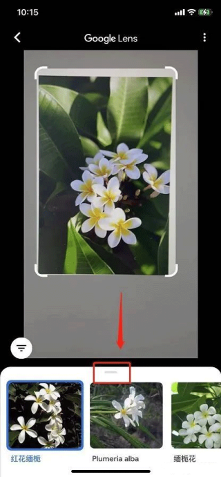 谷歌识图手机版