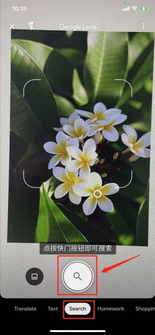 谷歌识图手机版