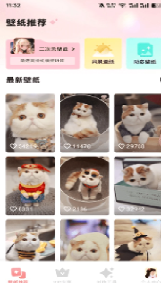 猫咪社区