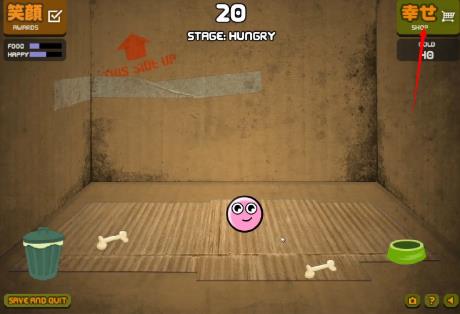 养只宠物球中文版