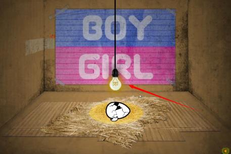 养只宠物球中文版