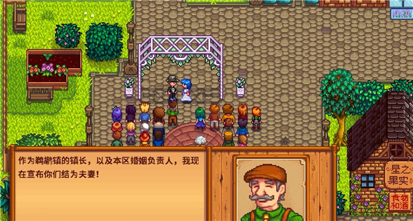 星露谷物语中文版