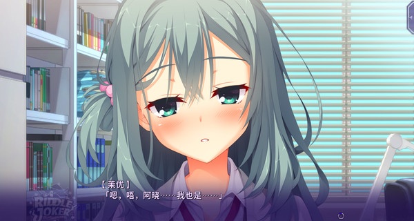 RiddleJoker冷狐版