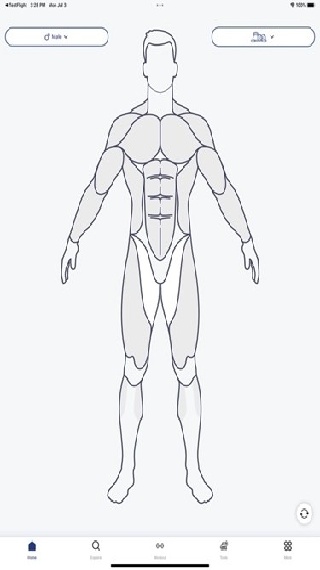 Musclewiki手机版
