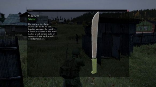 DAYZ